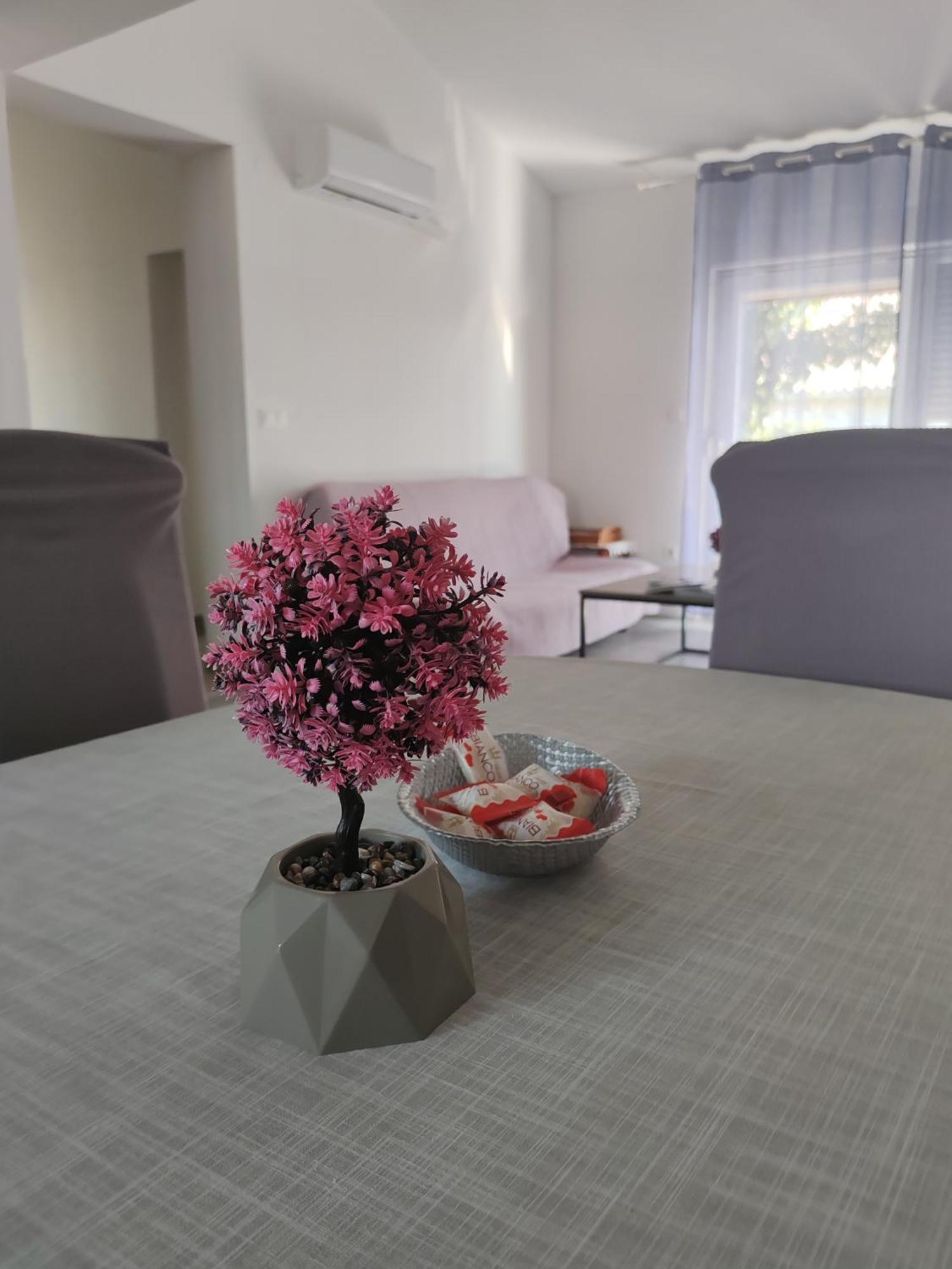 Apartman Olic Ražanac 외부 사진